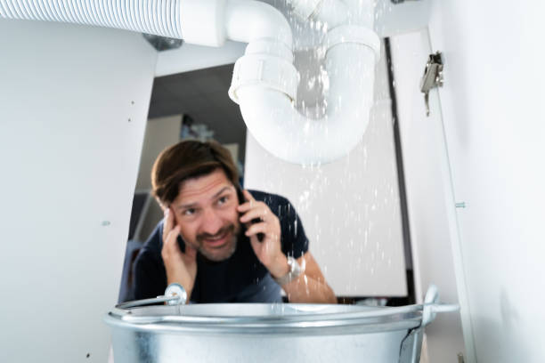 Best Clogged Drain Plumber  in Eslon, CA