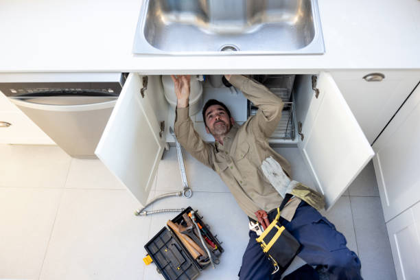 Best Emergency Plumbing Repair  in Eslon, CA