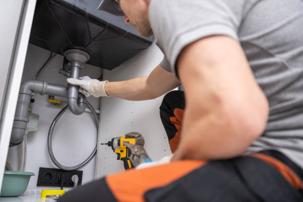 Best Water Softener Installation  in Eslon, CA