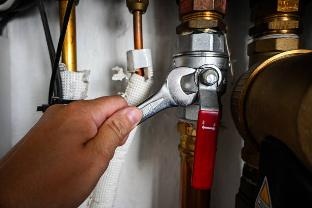 Best 24-Hour Plumber Near Me  in Eslon, CA